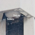 Beauty & Dot.ca Tuck Up Inside the OCSR Elevator Shaft 2-6-14