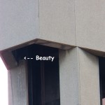 Beauty in the OCSR Elevator Shaft 2-22-14