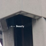 Beauty OCSR Elevator Shaft 2-20-14