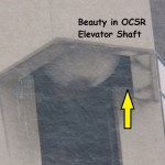 Beauty in the OCSR Elevator Shaft 2-13-14