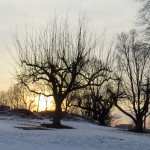 img_0041-the-sun-rising-behind-trees