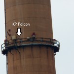 KP Falcon 3-28-14