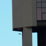 Beauty Flew Up Into the OCSR Elevator Shaft 3-6-14