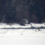 img_0105-genesee-river-below-ford-st-bridge