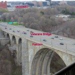 img_0003-falcon-on-veterans-bridge