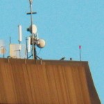 10-two-juvie-falcons-on-top-of-ocsr-7-24-14