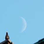 Moon Over Nettie on Wilder Bldg 7-2-14