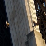 Mercury and Beauty at Times Square Bldg 7-2-14