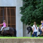 img_0129-horse-riding-at-federal-building