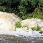 img_0052-foam-on-genesee-river-shore