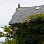 Red-tail Hawk on old house near Geva Theater with Squirrel 9/6/14