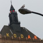 Buddy at the AK Tower aka Kodak Tower 10-1-14