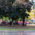 img_0001-advocates-for-homeless-washington-square-park