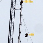 img_0015-billie-and-99