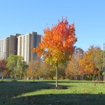 img_0073-seneca-towers-from-the-east-at-northridge-church