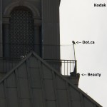 Beauty and Dot.ca on Kodak Tower 12-26-14