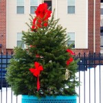Small City Christmas Tree 12-14-14