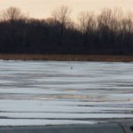 Snowy on Buck Pond 1-18-15