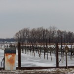 Braddock Bay Marina 1-3-15