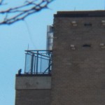 ST Falcon on NE Corner with Food -3-13-15