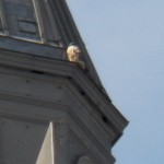 Beauty on the Cupola -3-8-15