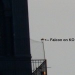 Falcon on Kodak Office -7-29-15