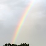 img_0026-rainbow-this-morning