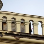 img_0066-partial-falcon-at-powers-nest-box