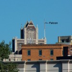 Falcon on Bldg East of HSBC Downtown -8-7-15