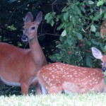 img_0025-mom-and-youngin1