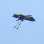 img_0082-gbh-in-flight