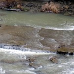 img_0023-river-is-down-exposing-flat-rocks