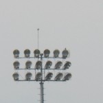 16-falcon-on-frontier-field-light-7-15-16