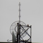 21-leo-on-shoretel-antenna-7-10-16