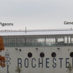 6-genesee-and-pigeons-on-port-of-rochester-10-29-16