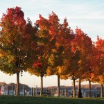 1-river-fall-colors-11-10-16