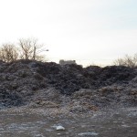 2-st-over-a-huge-pile-of-leaves-maplewood-pk-12-6-16