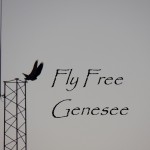 fly-free-genesee-carol-2-1-7-17