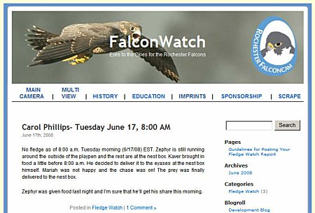 FalconWatch Blog Screenshot