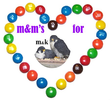 M&M’s for M&K Heart Logo