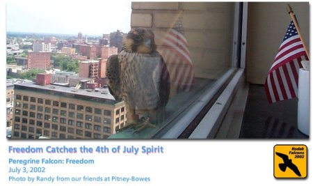 Freedom at Kodak on July 4 2002