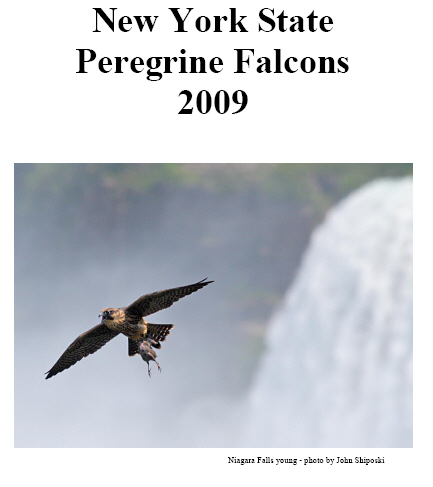 2009 DEC NYS PEFA Report