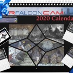 2020 Rfalconcam Calendar Ad