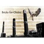 Bricks For Chicks