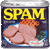 spam